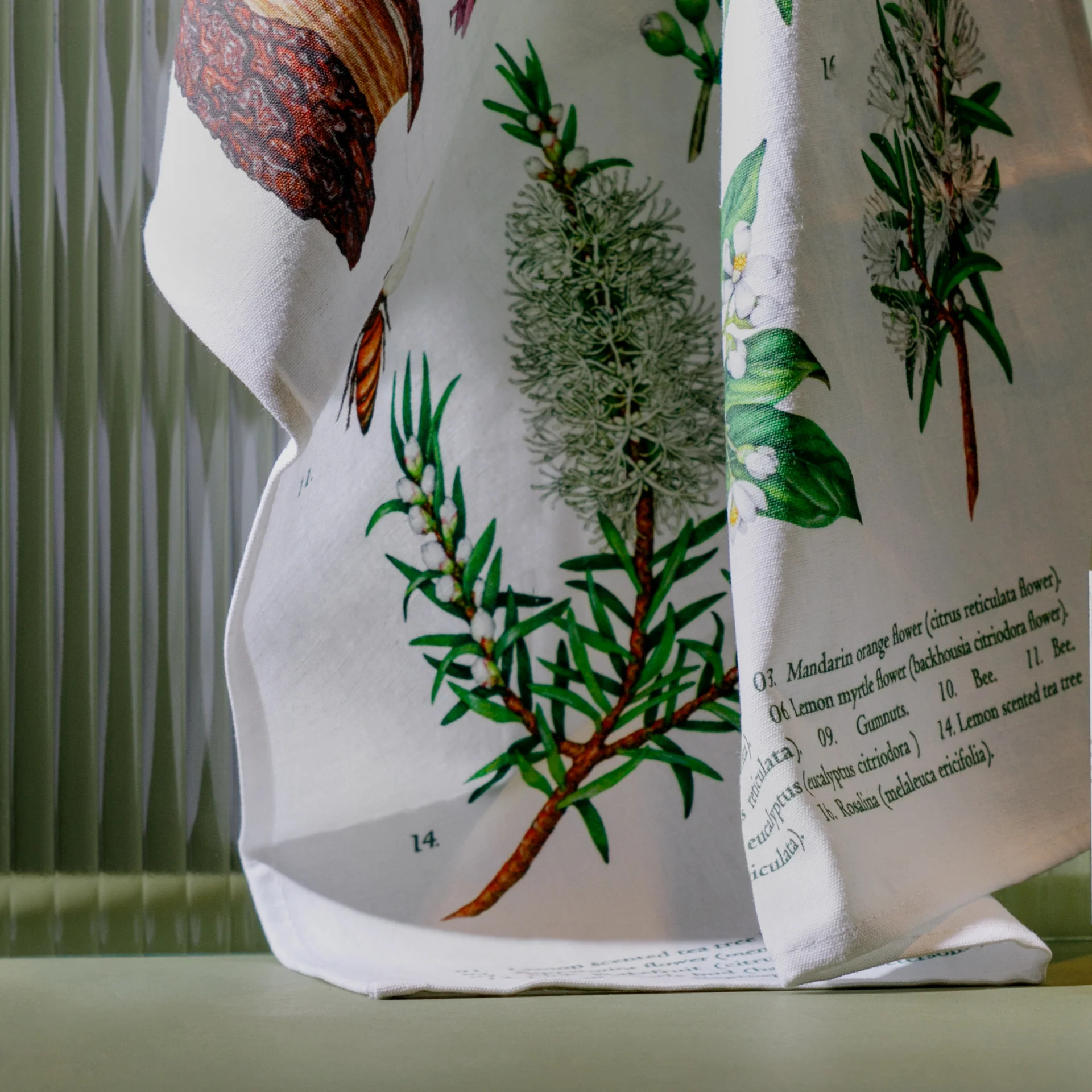 Terra Botanica Tea Towel - Image 2